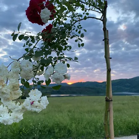 дядо станевата къща I боеви I