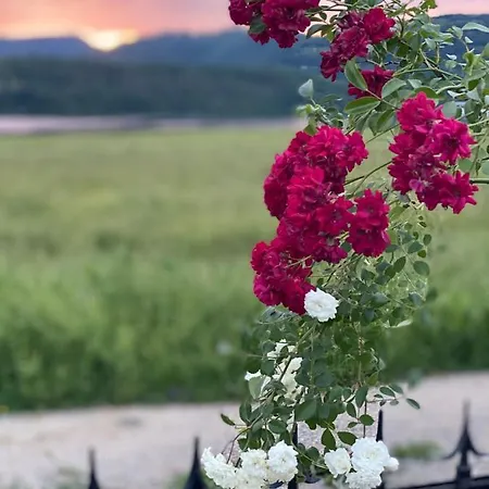 дядо станевата къща I боеви I 别墅 Yakovtsi