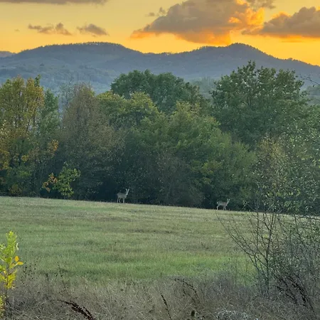 Villa дядо станевата къща I боеви I Yakovtsi